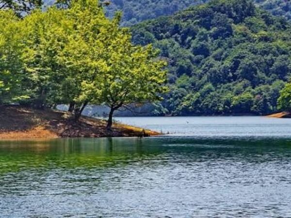 Private Lankaran – Khanbulan Lake Tour from Baku | Southern Azerbaijan Experience