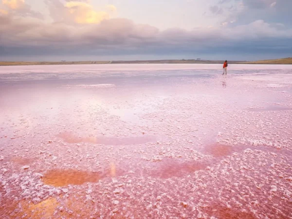 Private Pink Lake & Candy Cane Mountains Tour from Baku