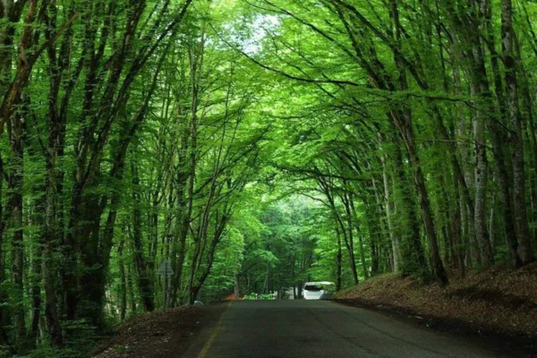 Private Shahdag Tour from Baku – Your Own Car, Your Own Timing