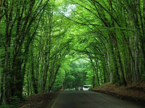 Private Shahdag Tour from Baku – Your Own Car, Your Own Timing